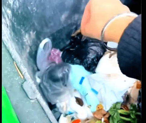 This Puppy’s Life Changed Forever. Watch Why. M3627